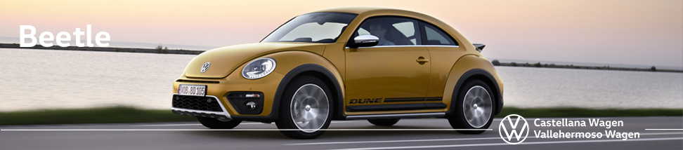 Libro Volkswagen Service de Volkswagen Beetle 2020