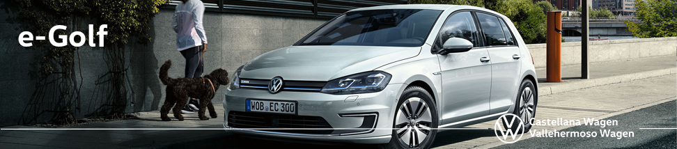 Libro Volkswagen Service de Volkswagen E-Golf 2020