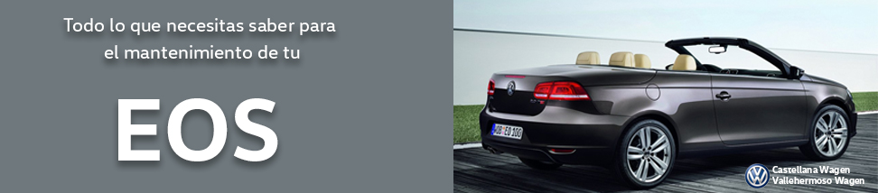 Libro Azul del mantenimiento de Volkswagen EOS 2019