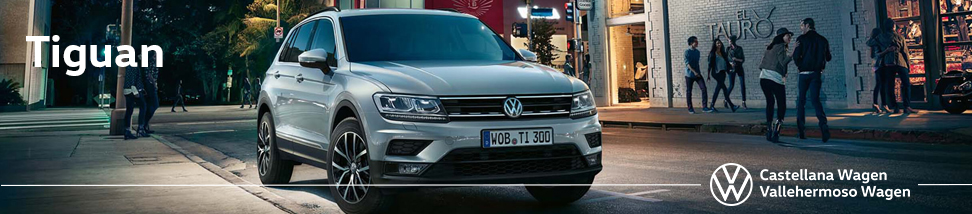 Libro Volkswagen Service de Volkswagen TIGUAN 2020