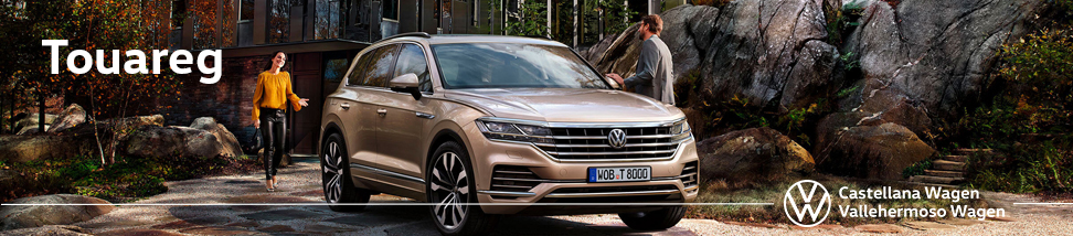 Libro Volkswagen Service de Volkswagen TOUAREG 2020