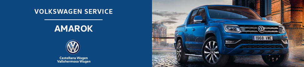 Tu Libro de Servicio Volkswagen Amarok 2019