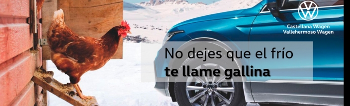 Ofertas Renting Volkswagen en Madrid 2021